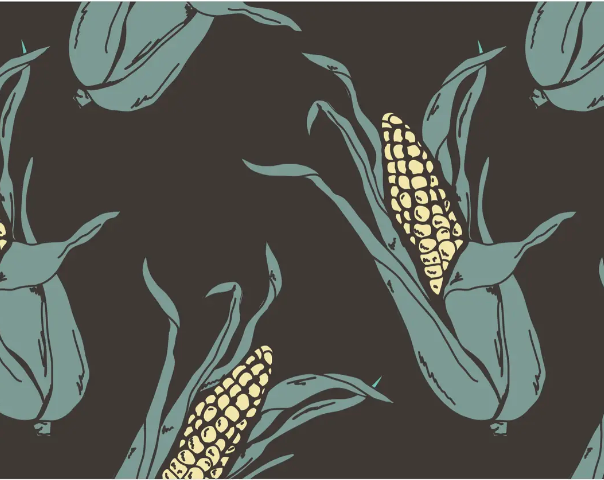 Polo of corn on the cob with leaves on a dark brown background