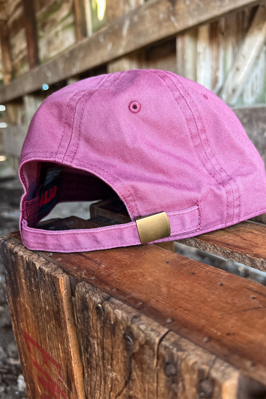 Baling Twine Dad Hat