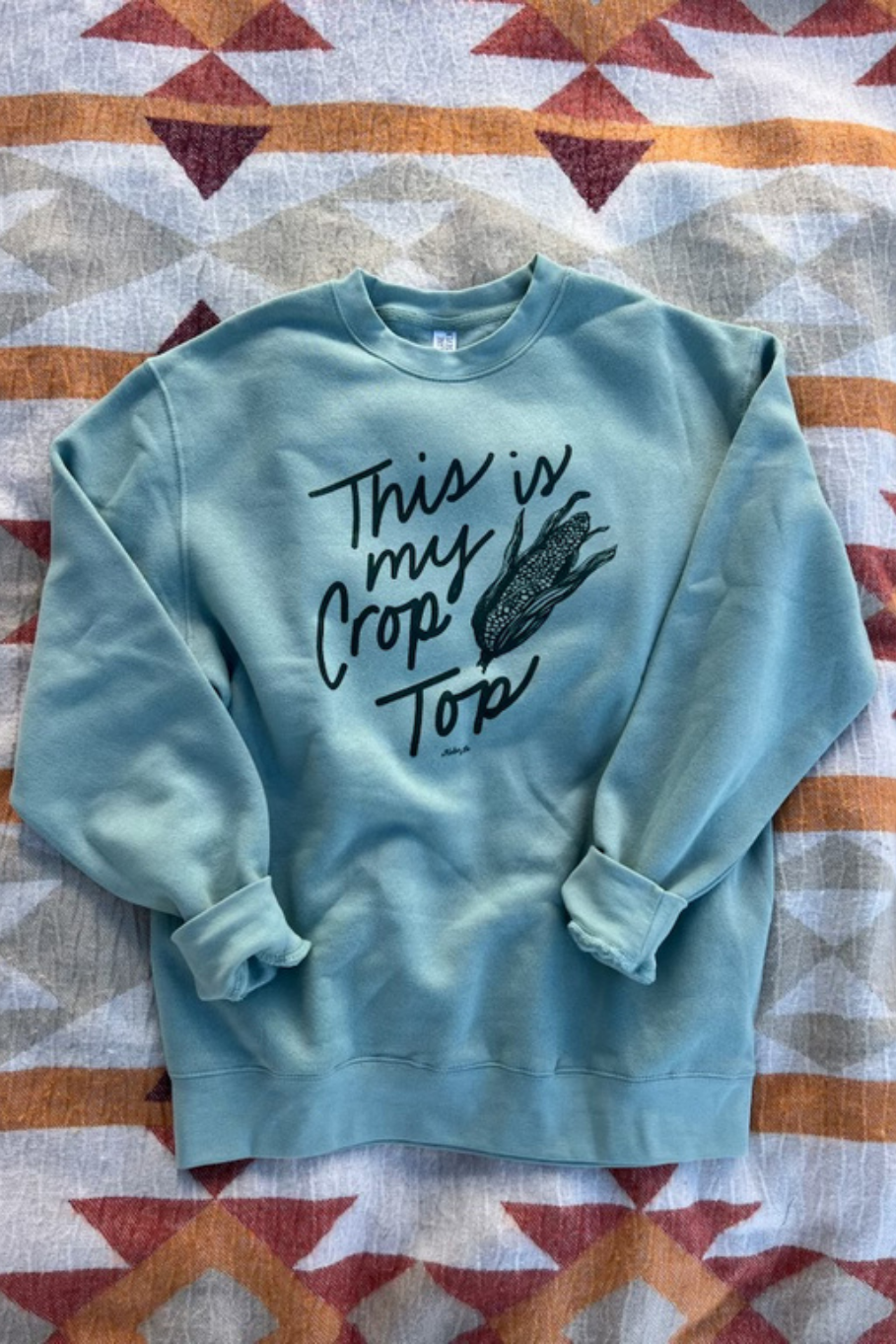A light blue/green crewneck sweatshirt with a black graphic print reading 'This is my Crop Top' alongside an illustration of a corn cob, laid flat on a patterned blanket.