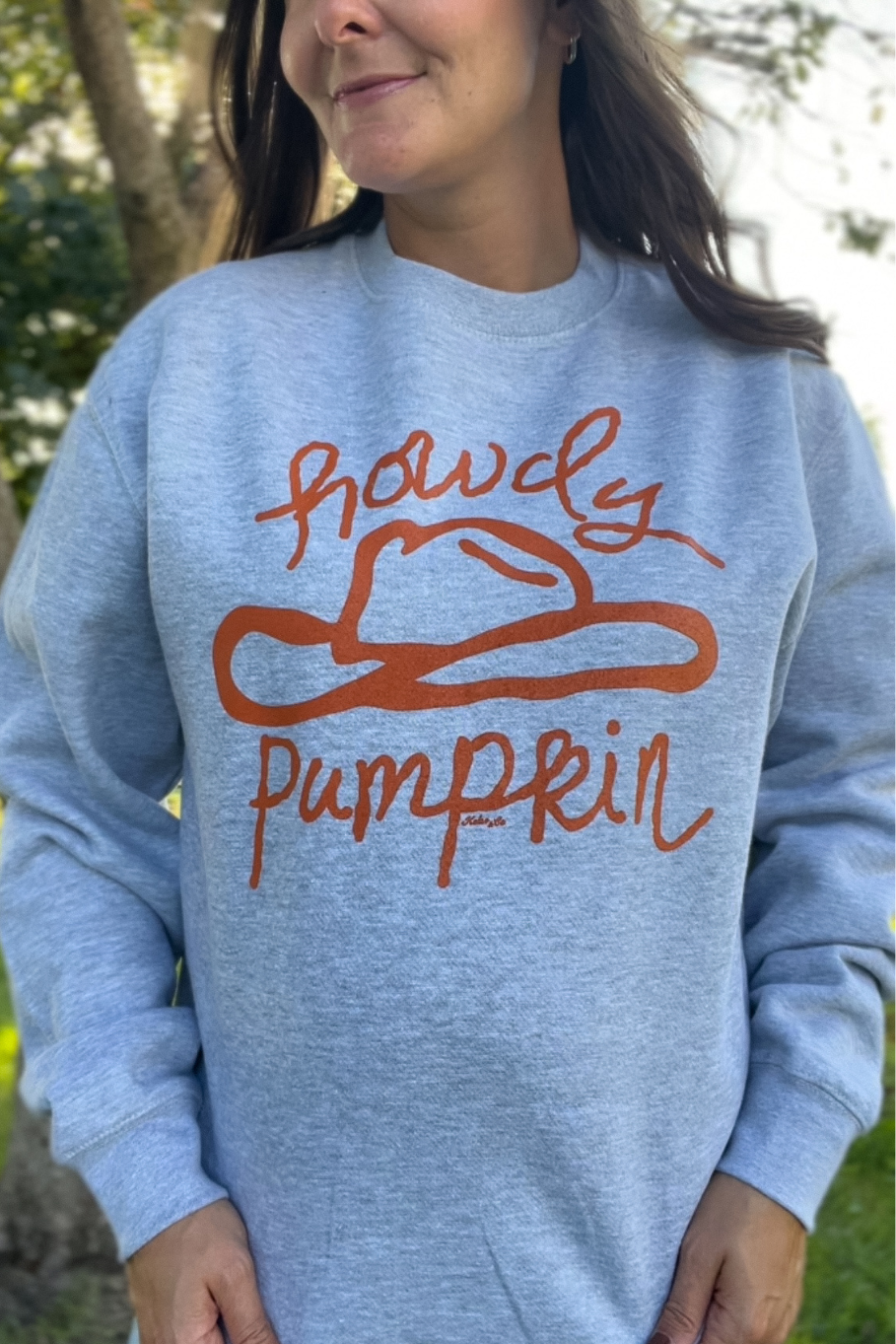 heather gray sweatshirt with handdrawn rust howdy pumpkin 