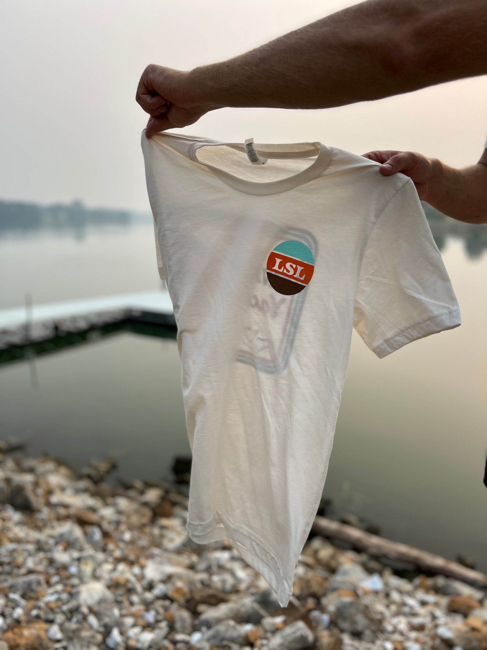 Little Swan Lake Retro Graphic Tee - Rosebud's Tees