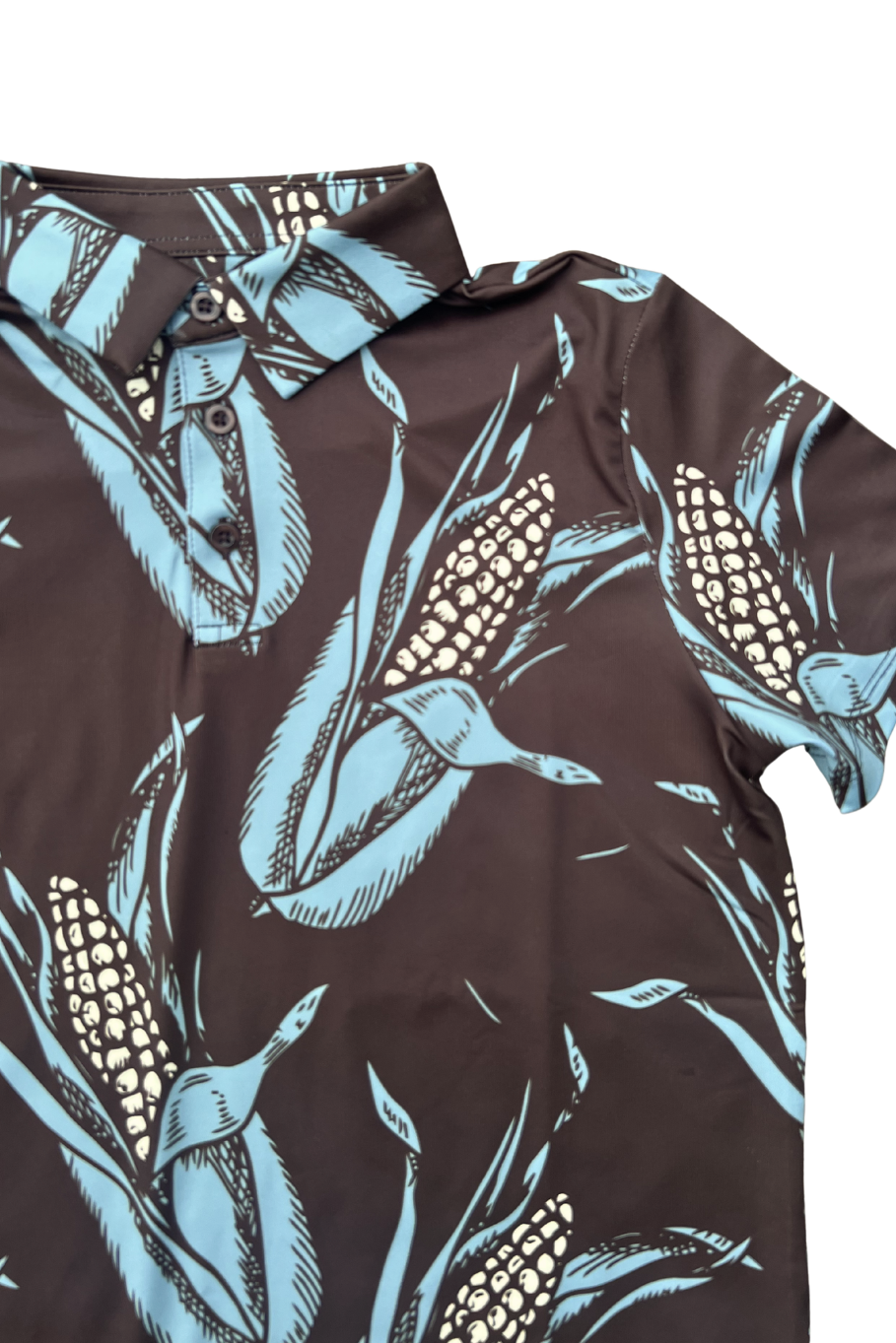 Close up picture of the dark brown background and large ears of corn pattern