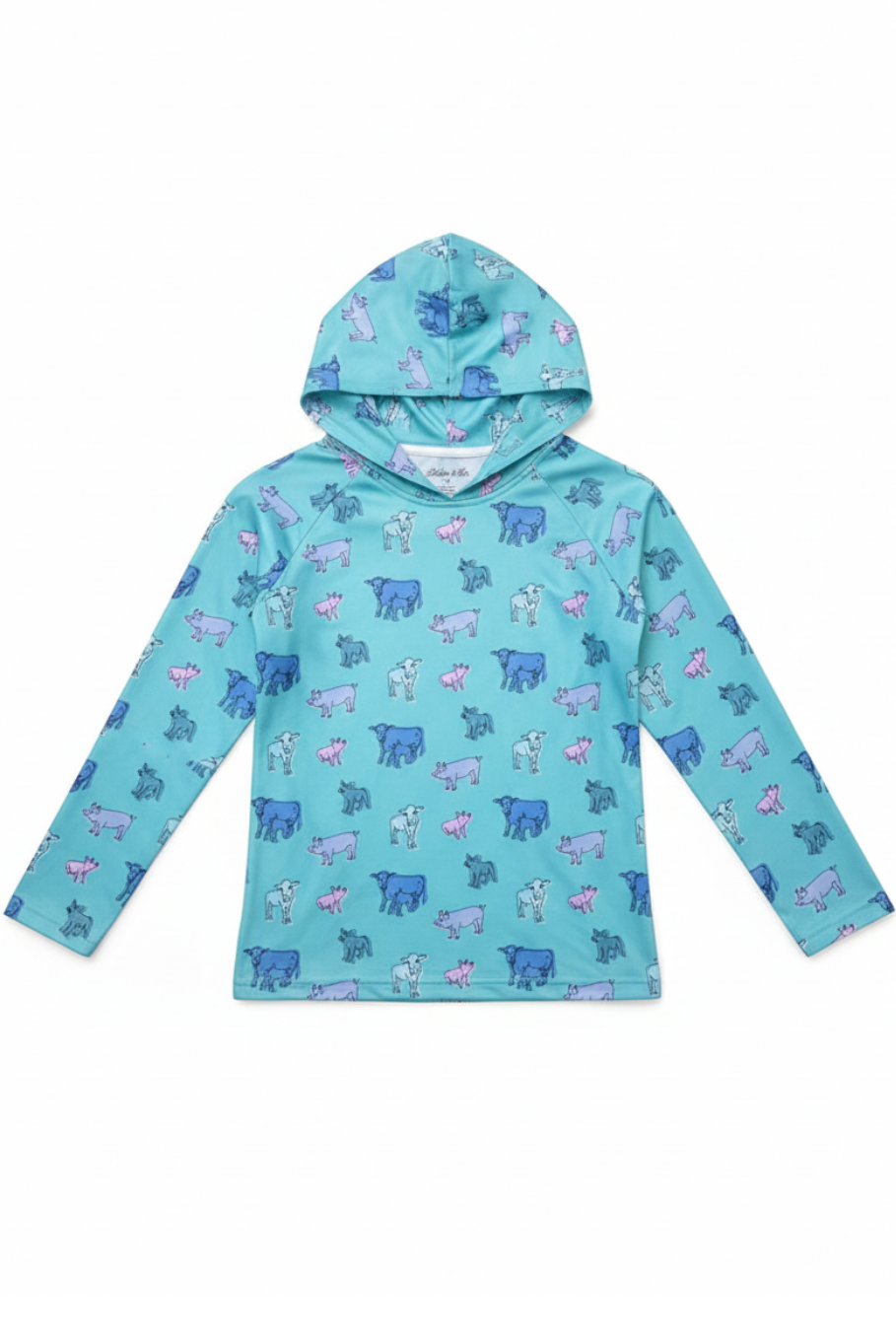 Sweetheart Stock Kids Performance Hoodie - Rosebud's Tees